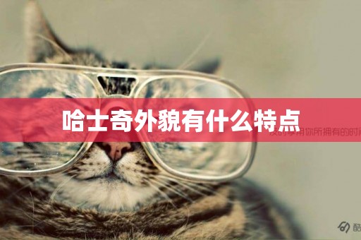 哈士奇外貌有什么特點