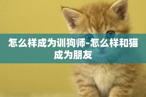 怎么樣成為訓狗師-怎么樣和貓成為朋友