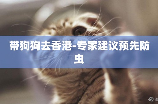 帶狗狗去香港-專家建議預先防蟲