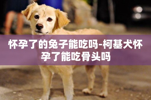 懷孕了的兔子能吃嗎-柯基犬懷孕了能吃骨頭嗎