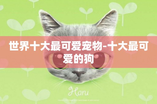 世界十大最可愛寵物-十大最可愛的狗