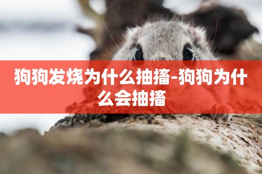 狗狗發燒為什么抽搐-狗狗為什么會抽搐