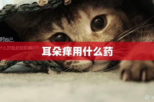 耳朵癢用什么藥