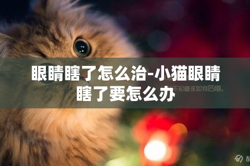 眼睛瞎了怎么治-小貓眼睛瞎了要怎么辦