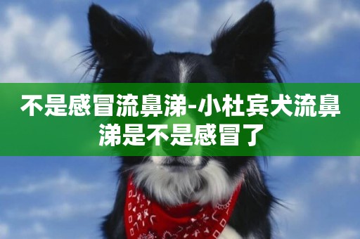 不是感冒流鼻涕-小杜賓犬流鼻涕是不是感冒了