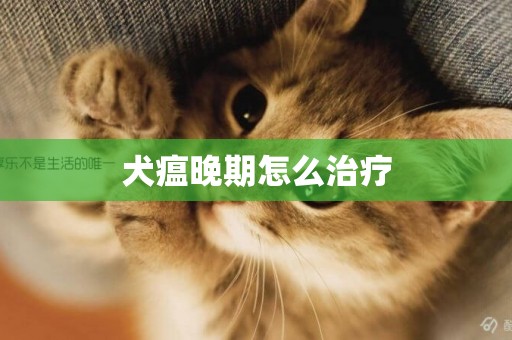 犬瘟晚期怎么治療