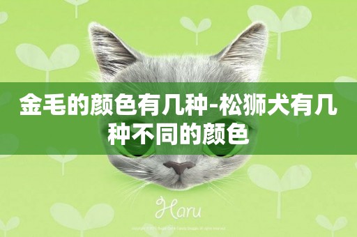 金毛的顏色有幾種-松獅犬有幾種不同的顏色
