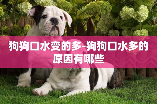 狗狗口水變的多-狗狗口水多的原因有哪些