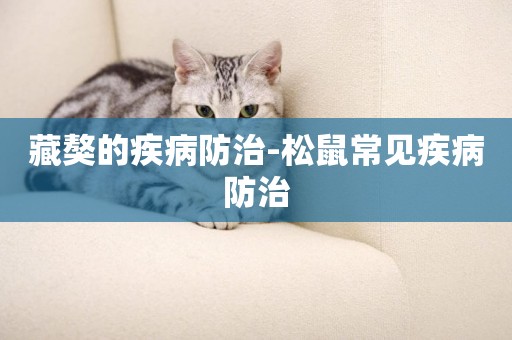 藏獒的疾病防治-松鼠常見疾病防治