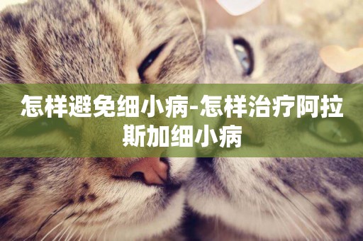 怎樣避免細小病-怎樣治療阿拉斯加細小病