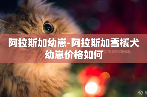阿拉斯加幼崽-阿拉斯加雪橇犬幼崽價格如何