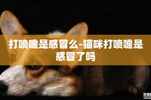 打噴嚏是感冒么-貓咪打噴嚏是感冒了嗎