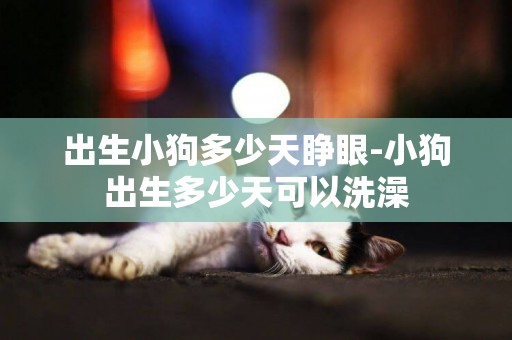 出生小狗多少天睜眼-小狗出生多少天可以洗澡