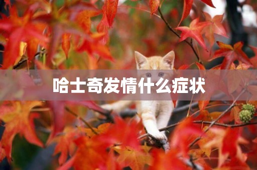 哈士奇發情什么癥狀