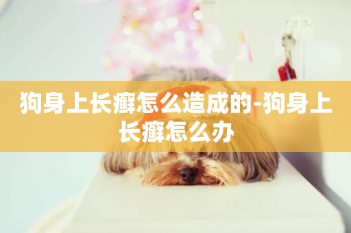 狗身上長癬怎么造成的-狗身上長癬怎么辦