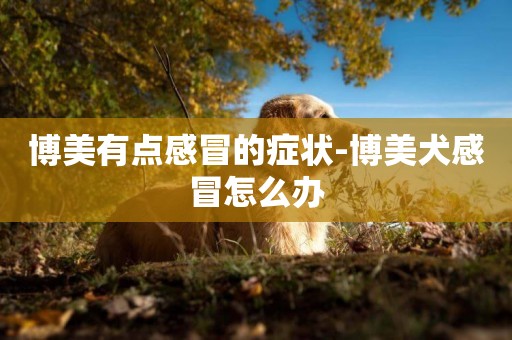 博美有點感冒的癥狀-博美犬感冒怎么辦