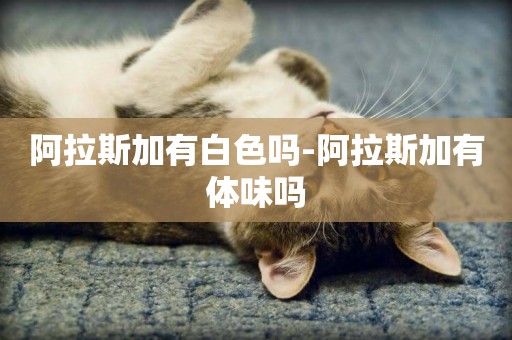 阿拉斯加有白色嗎-阿拉斯加有體味嗎