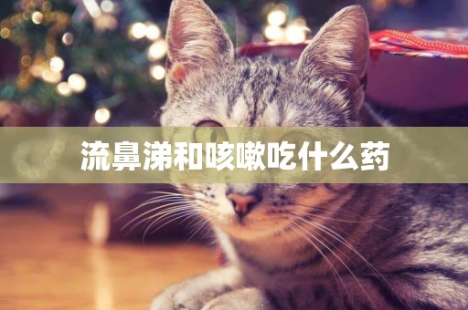 流鼻涕和咳嗽吃什么藥