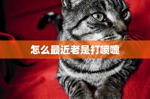 怎么最近老是打噴嚏