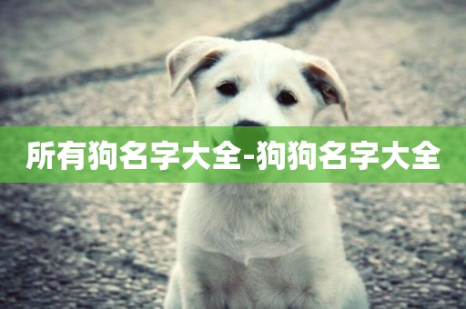 所有狗名字大全-狗狗名字大全