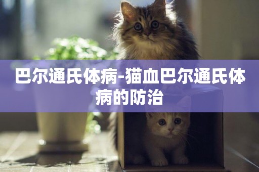 巴爾通氏體病-貓血巴爾通氏體病的防治