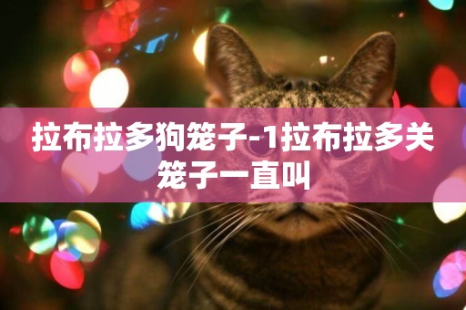 拉布拉多狗籠子-1拉布拉多關籠子一直叫