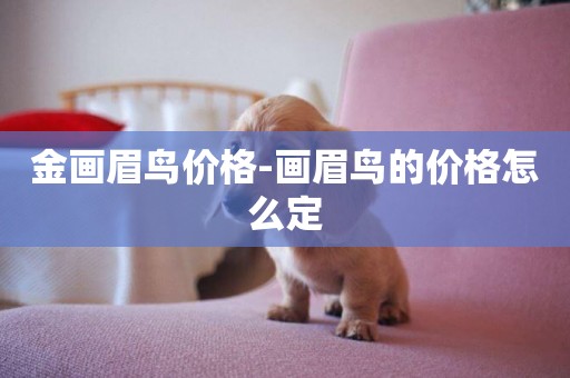 金畫眉鳥價格-畫眉鳥的價格怎么定
