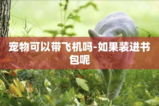 寵物可以帶飛機嗎-如果裝進書包呢