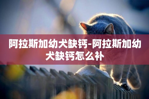 阿拉斯加幼犬缺鈣-阿拉斯加幼犬缺鈣怎么補