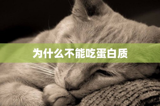 為什么不能吃蛋白質