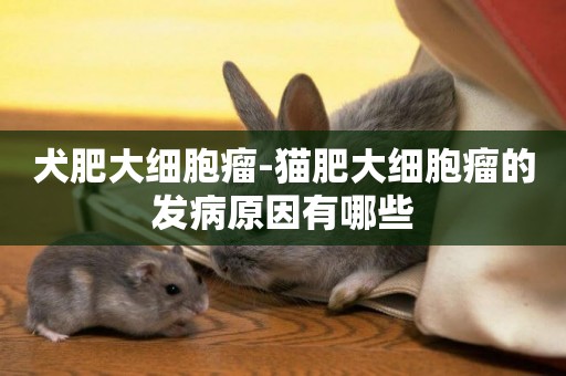 犬肥大細胞瘤-貓肥大細胞瘤的發病原因有哪些