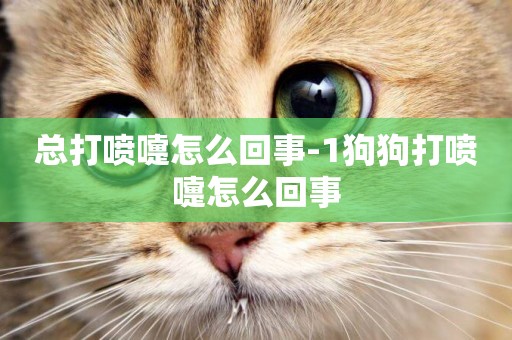 總打噴嚏怎么回事-1狗狗打噴嚏怎么回事