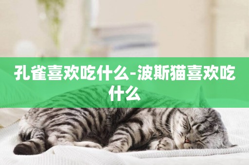 孔雀喜歡吃什么-波斯貓喜歡吃什么