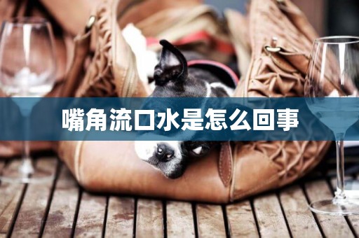 嘴角流口水是怎么回事