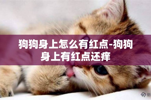 狗狗身上怎么有紅點-狗狗身上有紅點還癢