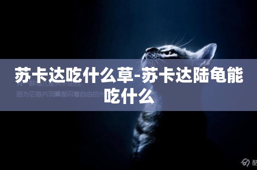 蘇卡達吃什么草-蘇卡達陸龜能吃什么