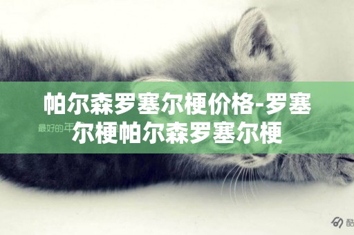 帕爾森羅塞爾梗價格-羅塞爾梗帕爾森羅塞爾梗