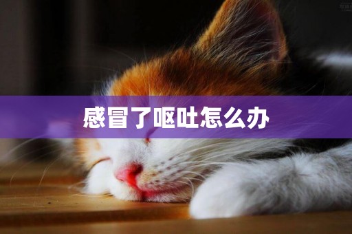 感冒了嘔吐怎么辦