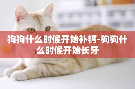 狗狗什么時候開始補鈣-狗狗什么時候開始長牙