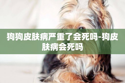 狗狗皮膚病嚴重了會死嗎-狗皮膚病會死嗎