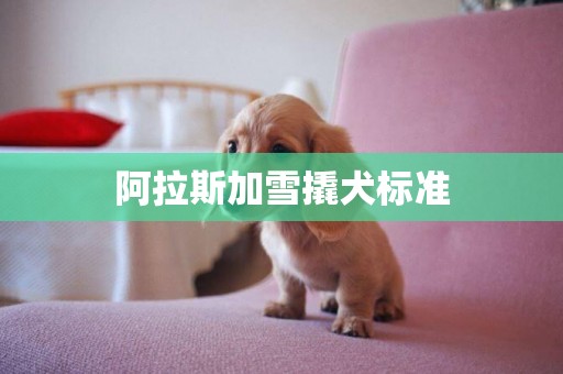 阿拉斯加雪撬犬標準