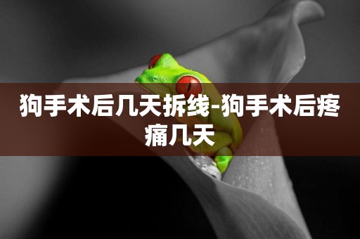 狗手術后幾天拆線-狗手術后疼痛幾天