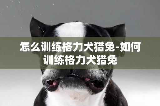 怎么訓練格力犬獵兔-如何訓練格力犬獵兔