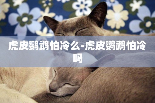 虎皮鸚鵡怕冷么-虎皮鸚鵡怕冷嗎