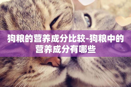 狗糧的營養成分比較-狗糧中的營養成分有哪些