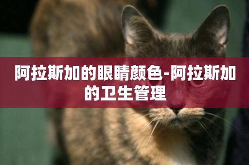 阿拉斯加的眼睛顏色-阿拉斯加的衛生管理