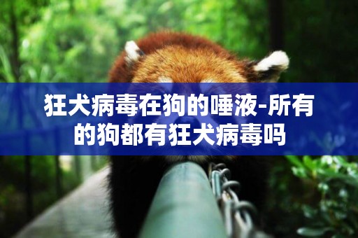 狂犬病毒在狗的唾液-所有的狗都有狂犬病毒嗎