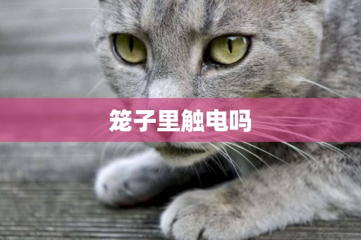 籠子里觸電嗎