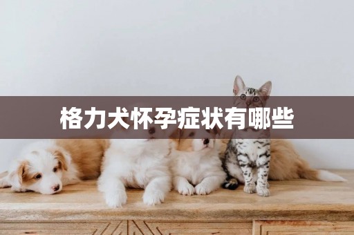 格力犬懷孕癥狀有哪些