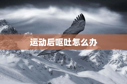 運動后嘔吐怎么辦